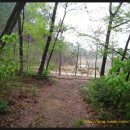 고니농장 이미지