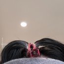 수원-0678 | 수원역 가성비 미용실 코멜리헤어랩 남자머리 다운펌 &amp; 아윤채클리닉