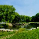 양재시민의 숲 5번 출구 앞 이미지