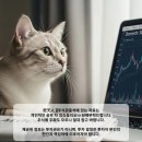 (주)한국비티비 이미지