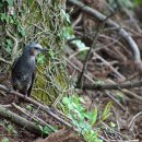 (주)미리내 이미지