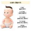 광선당약국 | 신생아 광선치료 후기💛 우리 아기의 회복 이야기