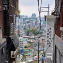 돌고래여행사주 | 7월일상(1) 날씨 왜이래...우리 6월에 좋았잖아..