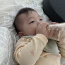 지에스25 두류음악당점 | 2025.11.04. 황마스 D+406. 이유식229일째 유아식21일째. 두류공원 산책! 간만에 수유량 1080!