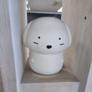 강아지공간 이미지