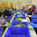 청천농업협동조합 이미지