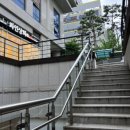 다다펫스파 이미지