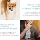 상주맥스카 이미지