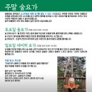 금베이숲 이미지