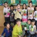 금가초등학교 이미지