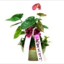 덕성떡방앗간 - 익산시 황등7길 25 | 덕성떡방앗간