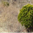 회성동102 이미지