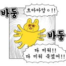 누들야식