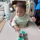 쿨노래연습장 | 부산 육아용품전문점 베이비하우스 동래점 내돈내산 싸이벡스레모하이체어