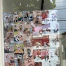 꽃보다 Dog 이미지