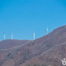 해맑은 목장 이미지