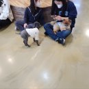 포포 데이케어 이미지