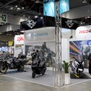 개 in 살롱 이미지