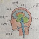 건강한 삶과 행복한 인생 이미지