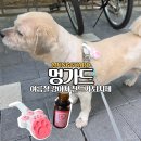 하니멍's(하니멍쓰) | 여름철 진드기 예방 멍가드 강아지 산책 필수템 강아지 진드기 스프레이 대신 간편한 천연 퇴치제