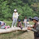 만성초교병설유치원 이미지