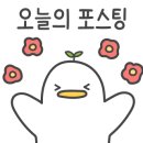 스시만카이 이미지
