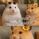 파파존스 운정점 | 1월 마지막주 일상기록 (일상기록/하루일기)