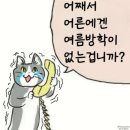 [뭐라도학교] 2024년 결산 뭐라도하는밤 | 2024년 결산(하반기) - 안녕, 씁쓸하고도 달콤했던 서른