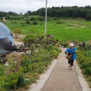 준서농장 이미지