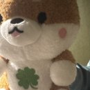 뽑기플러팅 이미지