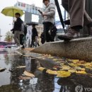 연세미앤필의원 네이버블로그