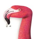 독일시그니아보청기 이미지