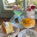 경주 황리단길 카페 추천 유럽감성 로제드파리 Rose de Paris 내돈내산 솔직후기