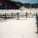 사곡리남근석 이미지