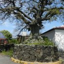 곽지리경로당 이미지