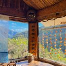 숲속 아지트 | [경북 포항] 선류산장 | 귀여운 고양이들이 반겨주는 가을 숲속 아지트(초보운전 비추)