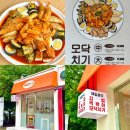 제일분식 | 제주모닥치기맛집 노형동 제일분식후기(포장가능)