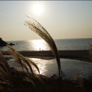 만선공인중개사사무소 이미지