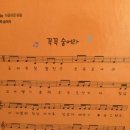 꼭꼭 숨어라 동물들아 이미지