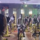 머스트무브짐배방