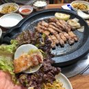 신보성녹돈 이미지