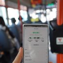 슈퍼무브 무제한 모빌리티 슈퍼패스 후기