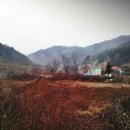 인제스피디움 주유소 이미지