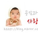 감삼동349 이미지