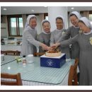 천주섭리수녀회 이미지