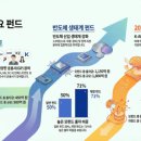 디에스엔인베스트먼트