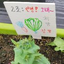 치우농장 이미지