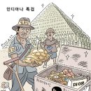 인디아나