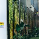 강남-226 이미지