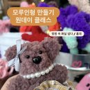 인형속으로 | 모루인형 원데이클래스 홍대 정원 속 화실 담다(솜씨당 예약) 후기